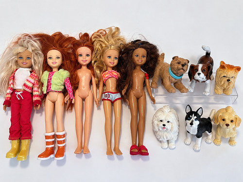 Barbie friends stacie - 3,